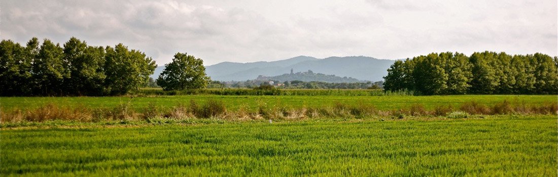 L' #ArròsMoliDePals es tota una tradició...
arrosmolidepals.com/ca/