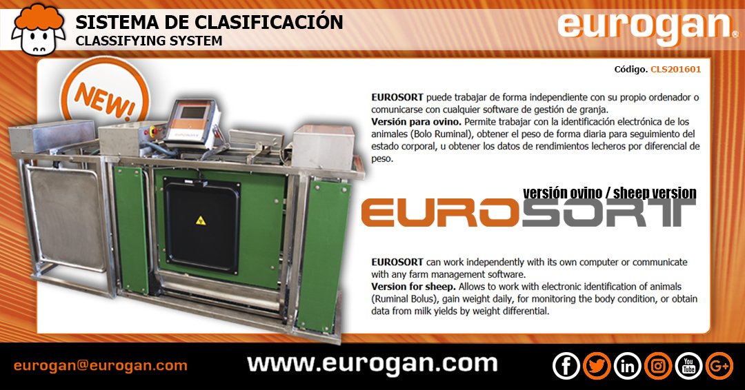 euroganspain's tweet photo. ✅ https://t.co/Zk1JpQcoxy 🌐 eurogan@eurogan.com
#EUROSORT. Sistema de clasificación versión para #ovino
EUROSORT. Classifying system version for #sheep
#ganaderia #livestock #granja #farm #zaragoza https://t.co/kh3Q9eX0ji