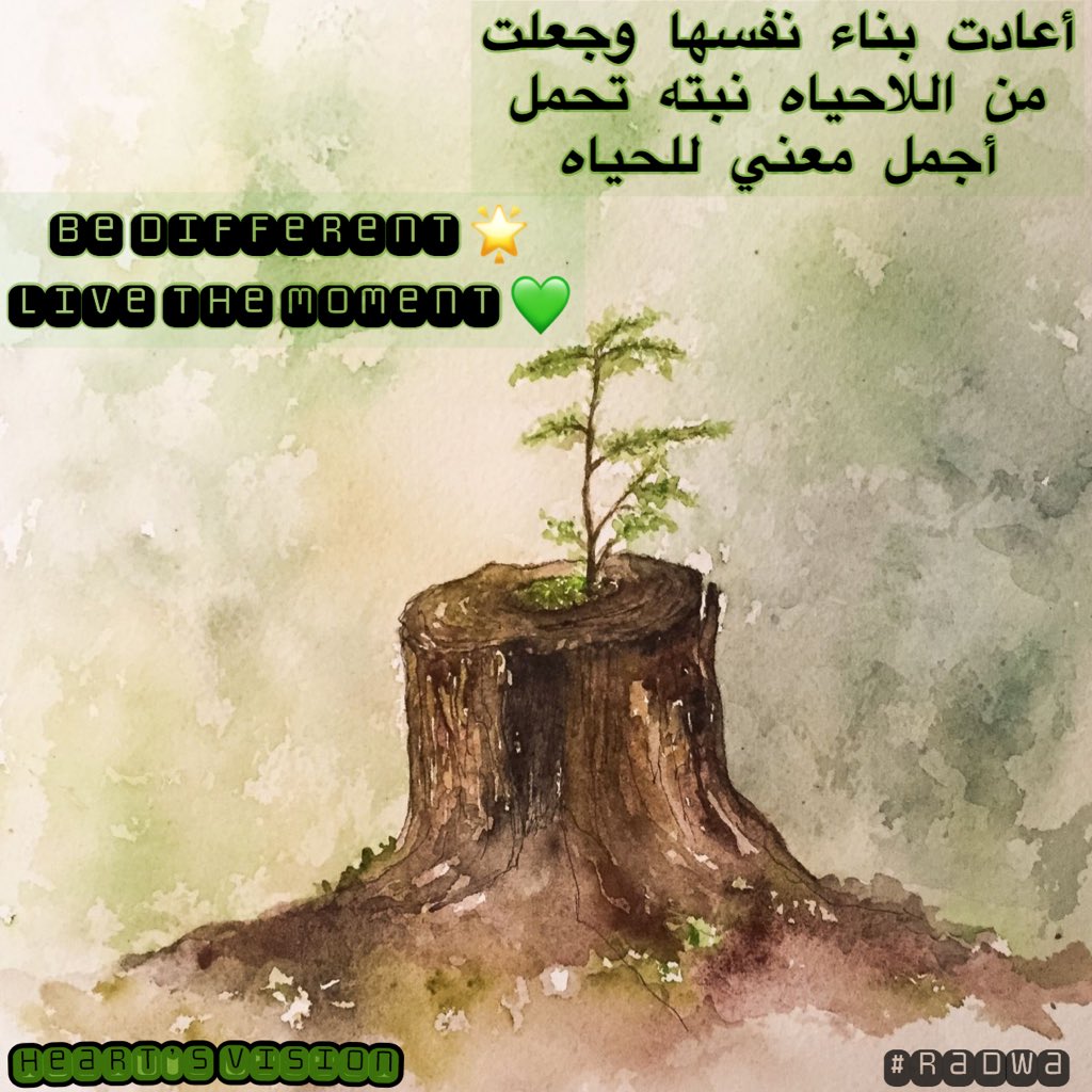 creat_vision's tweet photo. Live your life with your own style 🌿🍃
#vision #beauty #words #different_view #eyes #another_perspective #inspiration #live #Moments #life #green #rebuild https://t.co/8R7pL5b33z