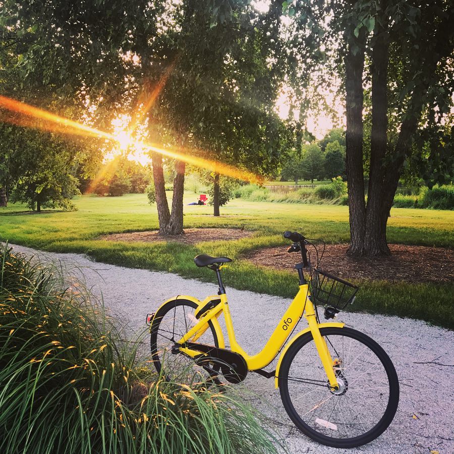 ofo tweet media