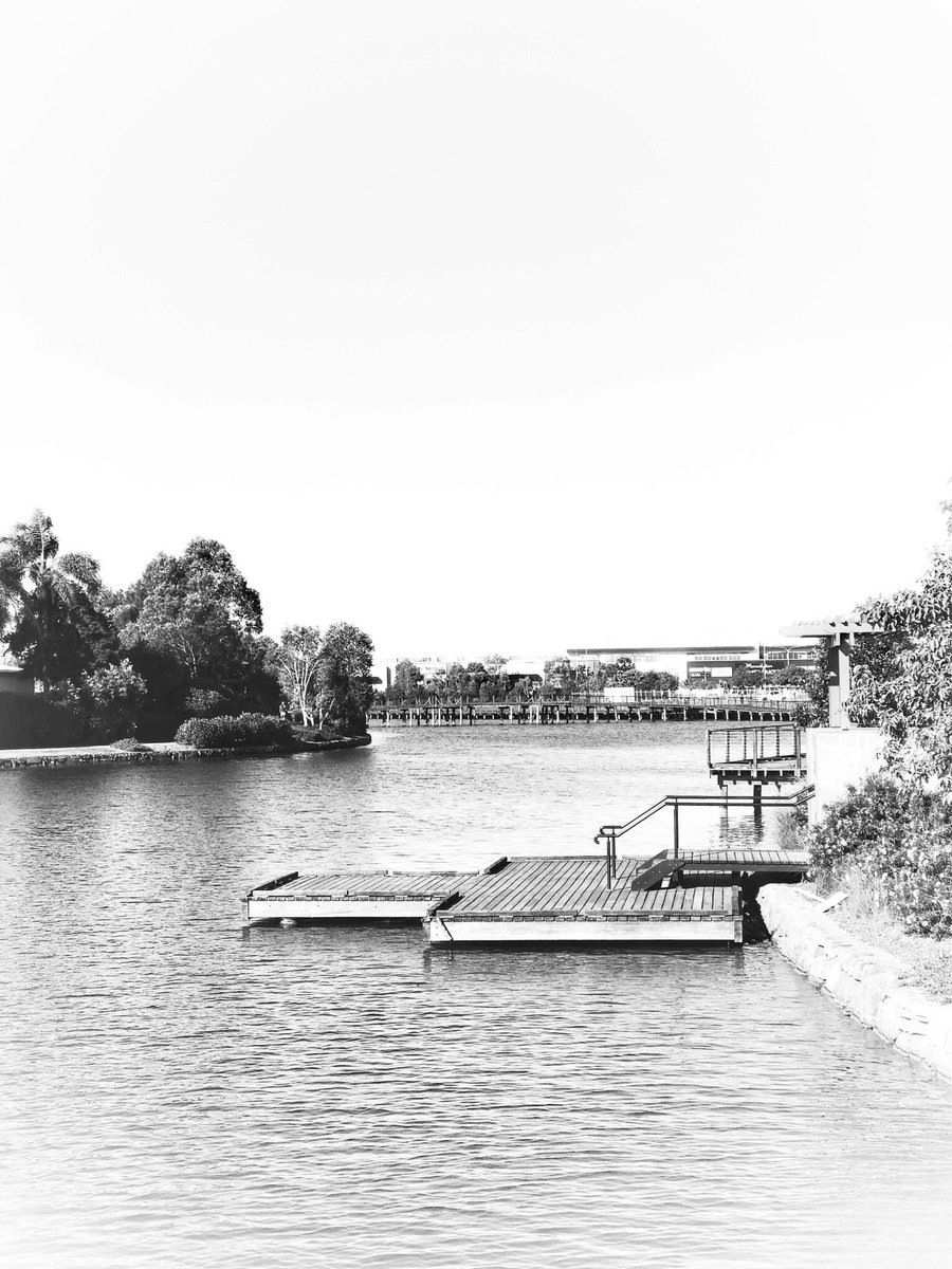 blackiwiroo's tweet photo. Black n white shutter views today on my #wanderings 👀 #SunshineCove is a fairly new residential area that has some lovely boardwalks & pathways meandering along the canals.
#BlackAndWhite #WinterInQld #Winter2K18 #SunshineCoast https://t.co/X3drVC3rv0