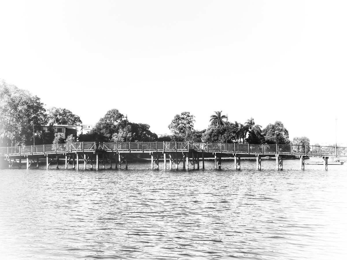 blackiwiroo's tweet photo. Black n white shutter views today on my #wanderings 👀 #SunshineCove is a fairly new residential area that has some lovely boardwalks & pathways meandering along the canals.
#BlackAndWhite #WinterInQld #Winter2K18 #SunshineCoast https://t.co/X3drVC3rv0