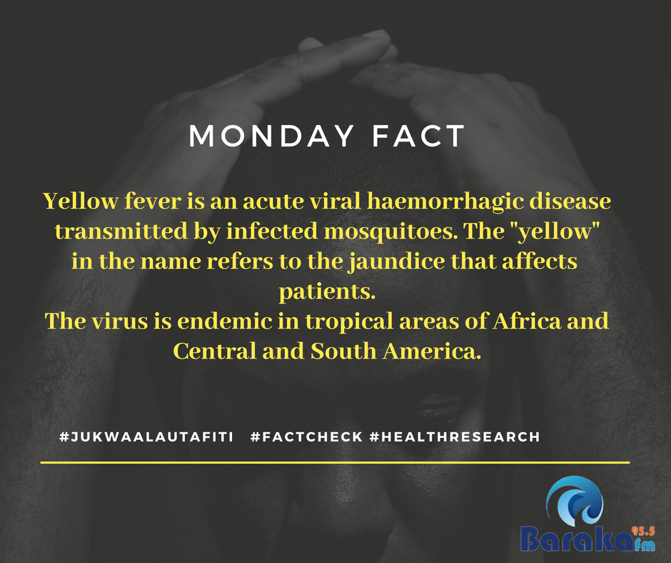 BarakaFmKe's tweet photo. Good morning? #FactCheckPost #HealthResearch #JukwaaLaUtafiti
@KEMRI_Wellcome ^MD https://t.co/HxW9oM1E2o