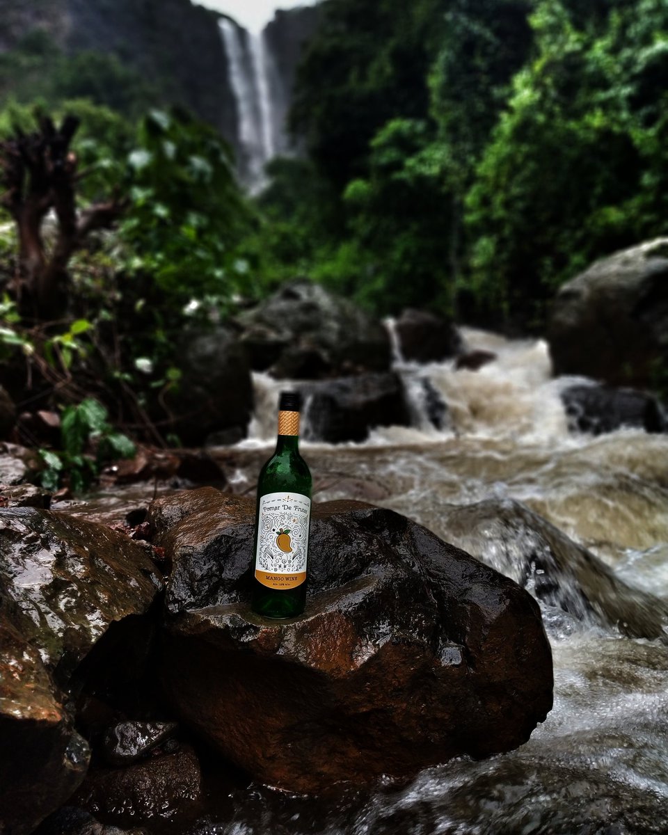 PomarDeFrutas's tweet photo. Step aside WATER. This is the job of WINE.
.
.
.
#Pomardefrutas #mangowine #winelover #wine #Goa #Calangute #candolim #caranzalem #panjim
#Goaonmyplate #thefoodietrails #Goascape #tasteofgoa #thefoodiepanda
#goanfoodie #foodiesgoa #foodandwineIndia https://t.co/gn1zuFE4M6