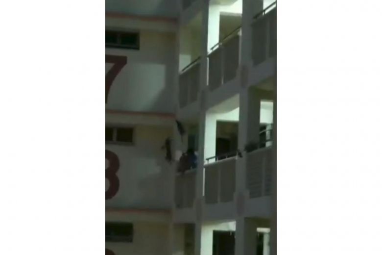straits_times's tweet photo. Cat falls 11 storeys and dies after rescue attempt goes wrong https://t.co/kQ0L8a3g7f https://t.co/zfzvjwwHMx