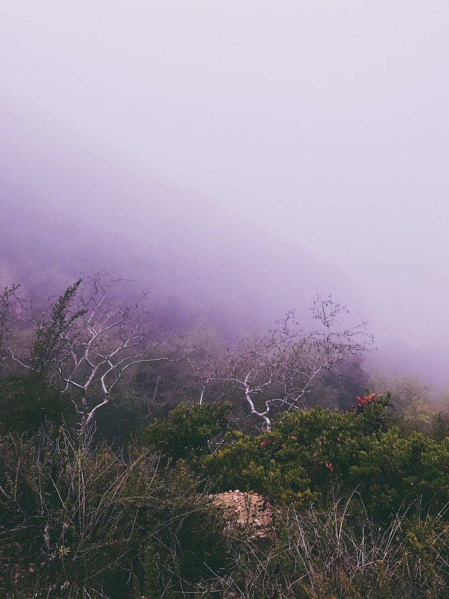 esthetics | archive (@esthtcs27) on Twitter photo 