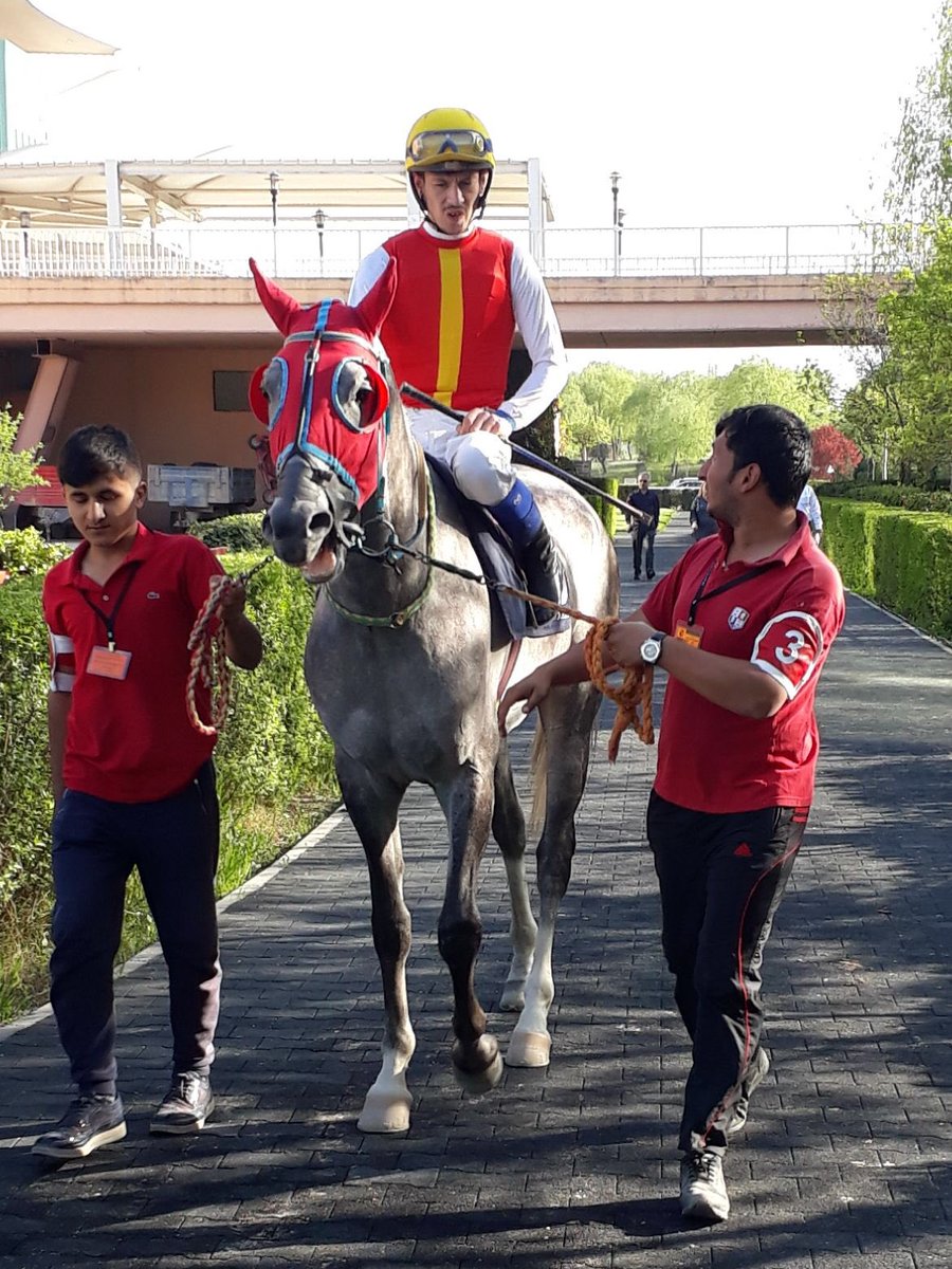 Bize yaşattığın onca mutluluk  için tşkler Astrakhan Güle Güle Gönlümüzün Şampiyonu Rahatlıkla uyuyabilirsin ...