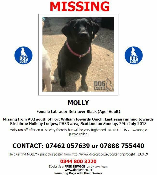 Forgetmenotted's tweet image. Missing after a car accident , last seen Fort William . Please share