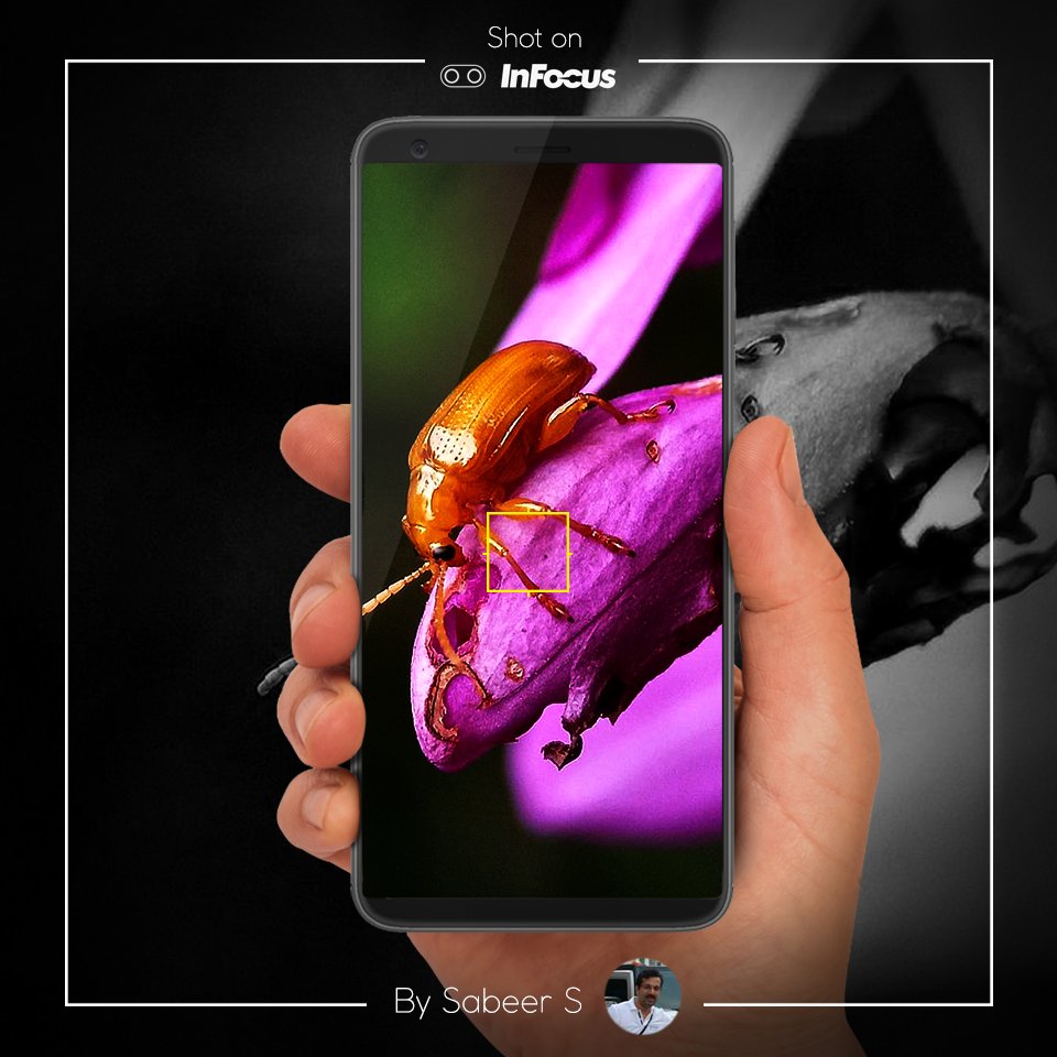 InFocus_IN's tweet image. This vivid image shot by @sabeer08 on his #InFocusVision3Pro is all the #MondayMotivation that we need today!
Share your brilliant snaps with us using #ShotOnInFocus, tag us and mention the model name to be featured here! 
#BeyondYourVision