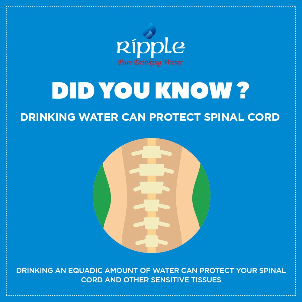 RippleWaterPak's tweet photo. A hydrated body can prevent Spinal Cord Injuries. 

#RippleWater #everydropislife #DrinkPure #LivePure #Nature #Hydrated #Minerals #Healthy https://t.co/tngqzyOPwg