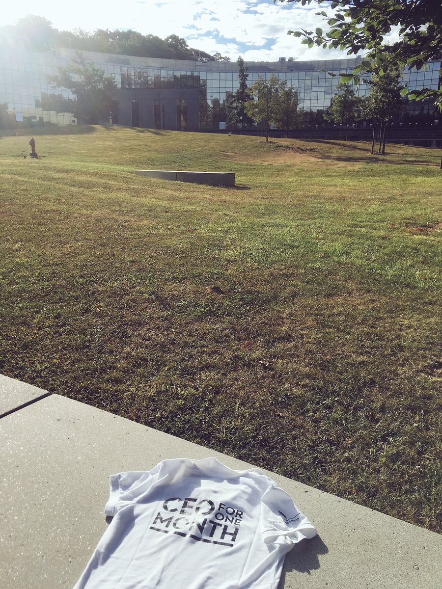 Sarah Palak tweet media