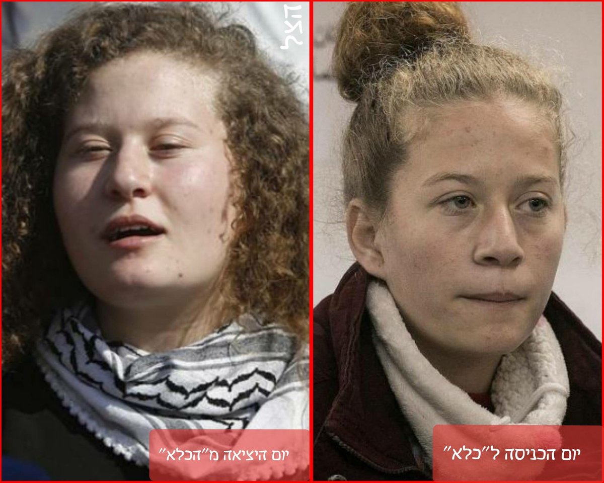 Son Kale Türkiye 🇹🇷 on Twitter &quot;Ahed Tamimi hakkında sosyal medya
