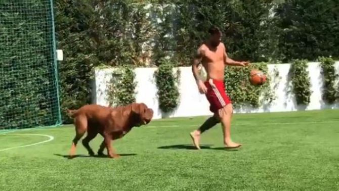 #Arthurismo on Twitter: 