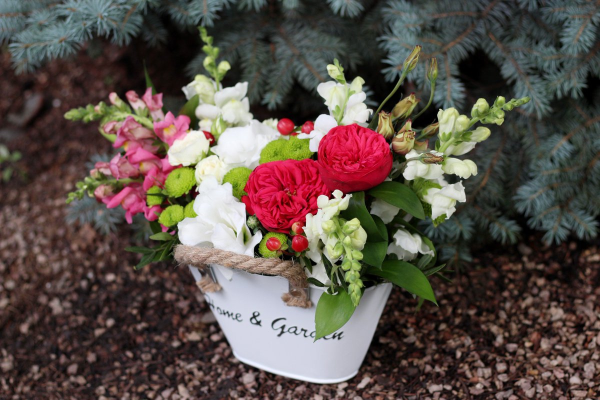 FlowersStyle's tweet image. А вы покупаете себе цветы без повода? Просто так, чтобы они каждый день повышали настроение...
Ждем вас за большими и маленькими поднимателями настроения по адресу - пр-т Льва Ландау, 52!
🌹🌼🌿
#флористика #цветочнаякомпозиция #букет #цветочныйстиль #харьков #цветы #декор