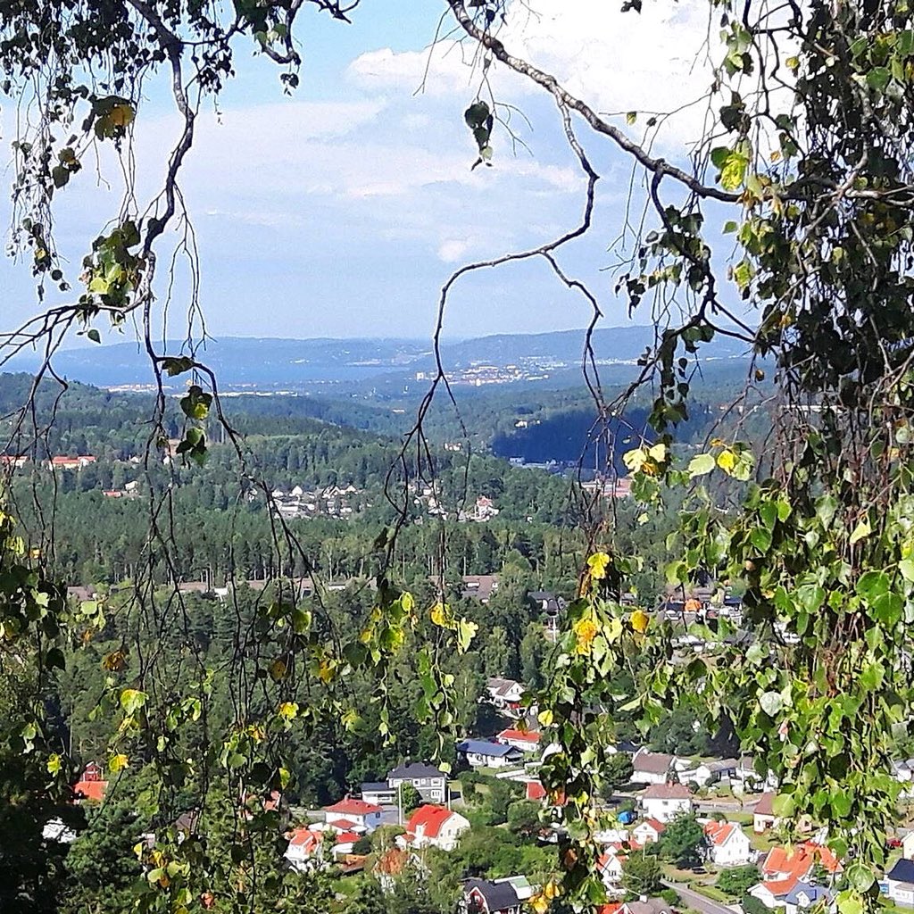 SvenskVagguide's tweet photo. #Dagensfoto #Taberg 343 meter över havet. Söder om #Jönköping #Småland Foto: Ann Louise Nestor https://t.co/oIq5XM4GNU