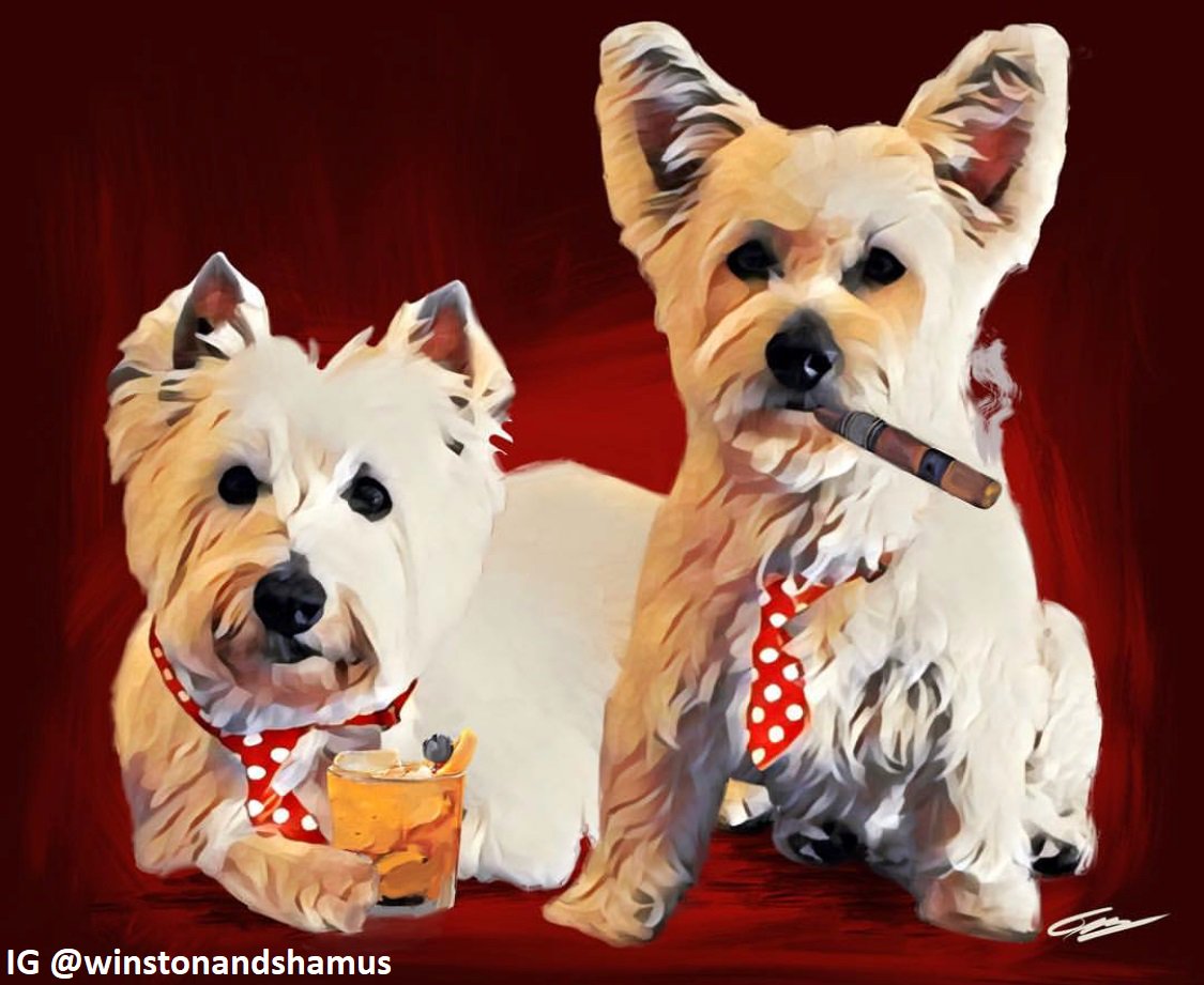SnootsShakedown's tweet photo. @BarstoolBigCat #dogart https://t.co/IEad69xcF1
