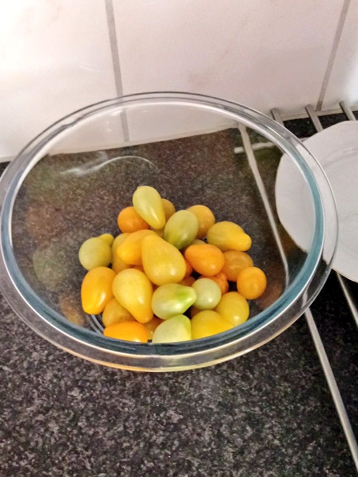 ThePotterGeist's tweet photo. So many tomatoes 😲. I cleared my veggie patch of all tomato plants so my other peppers and paprikas can grow. The first batch is doing nicely in buckets #LotsOfVeggies https://t.co/cpdVbs392e