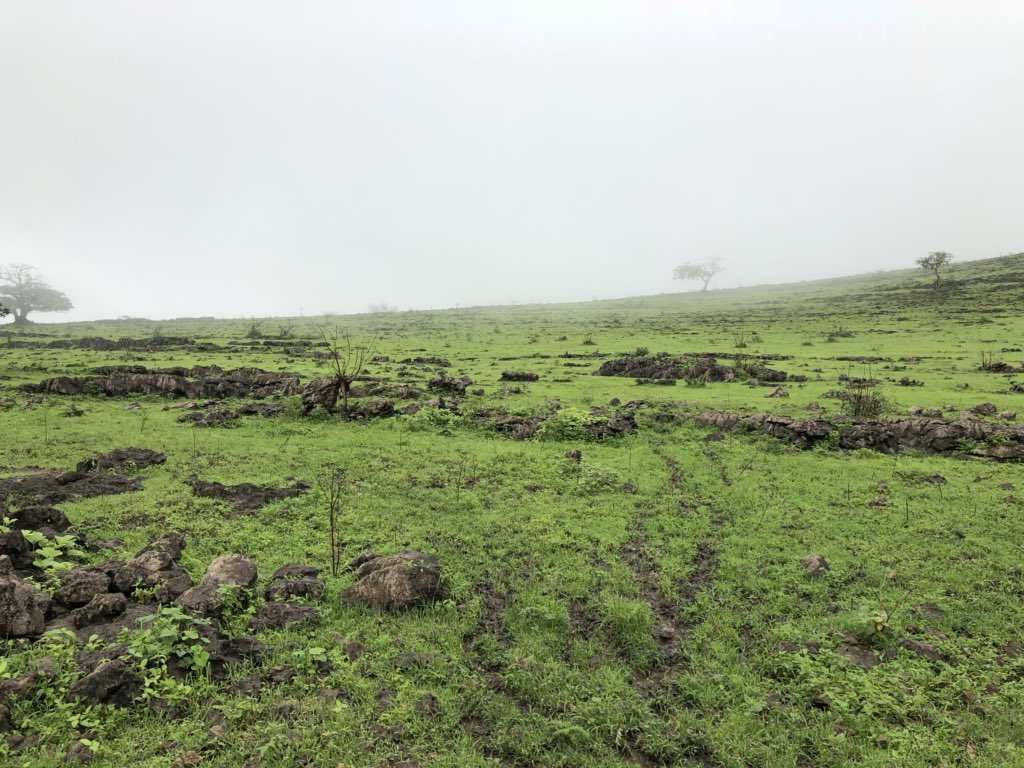 <a href="/Omanbeah/">بيئــة | be’ah</a> @Dhofar_news <a href="/Oman_events/">فعاليات عمان | Oman events</a> النظافة من الايمان 
أترك المكان كما تحب إن تراه.
"نصون عماننا الجميلة"

<a href="/Omanbeah/">بيئــة | be’ah</a> 
#خضراء_بوجودكم
#بيئة
#طفار 
#صلالة