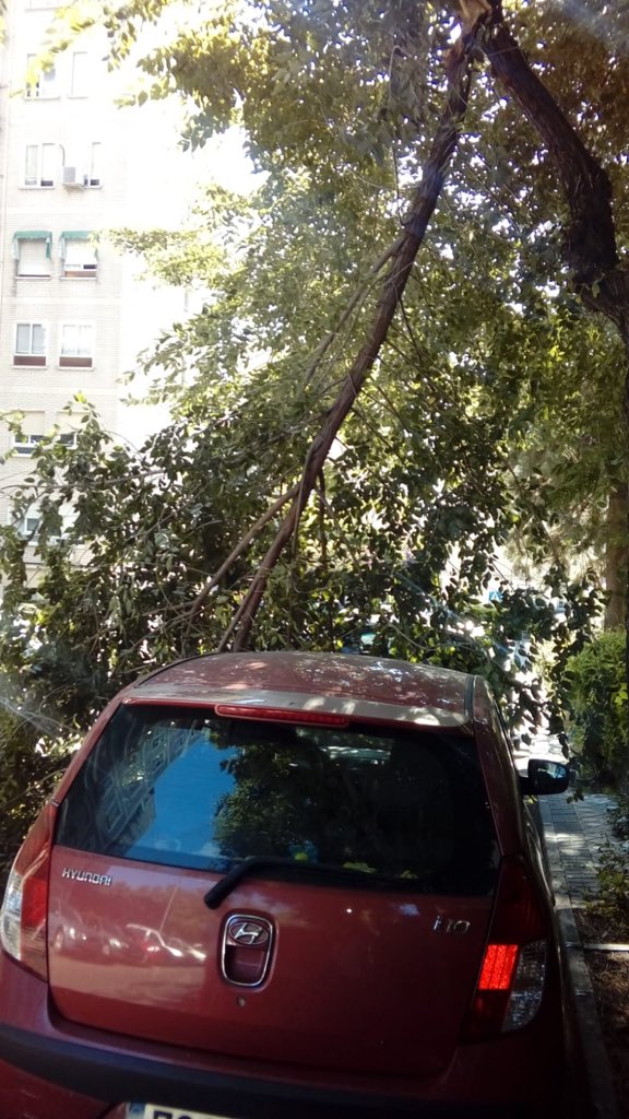 UnionporLeganes's tweet photo. .@AytoLeganes nueva caída de rama. Hoy en calle Alcarria número 44 en #Zarzaquemada #Leganés. Busquen soluciones urgentes antes que pase una desgracia. Es lamentable 👎#SOSLeganés https://t.co/ZDD3tBHW4d