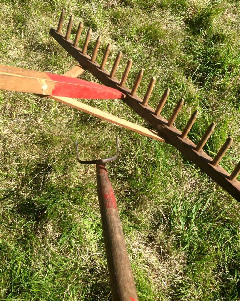 elvastoncgroup's tweet image. A big rake off is happening this Wednesday 1st August on Clover Close Coronation Meadows at #elvastoncastle facebook.com/15343500101962… @CoronationMdows @ClarenceHouse @WildaboutPlants