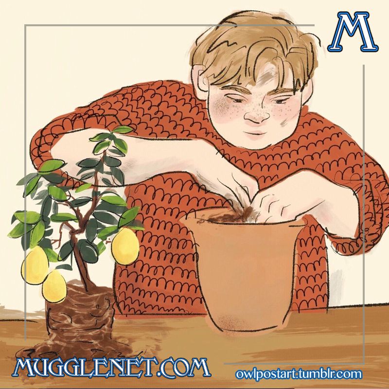 Happy birthday to our favorite Herbology professor, Neville Longbottom!  