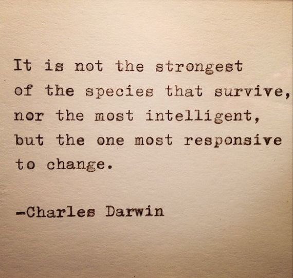 larrykim's tweet photo. #MondayMotivation: Also applies to launching a #startup. https://t.co/kgbLQUmEA5