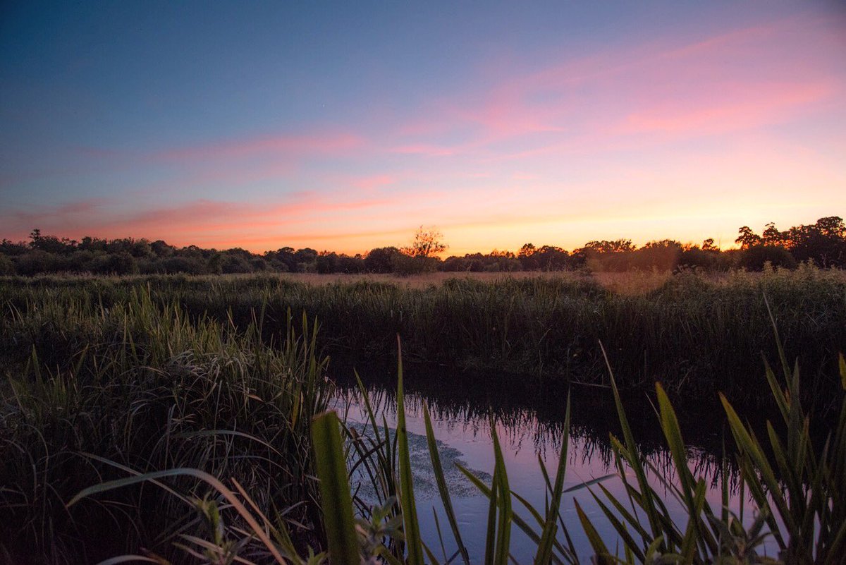 chalkstreamfly's tweet photo. An hour from Paddington, targeting wild brownies on a summers evening is a great escape from the big smoke 👌 @bartoncourtfish @maxdgallagher https://t.co/e3EJ7gJZGf