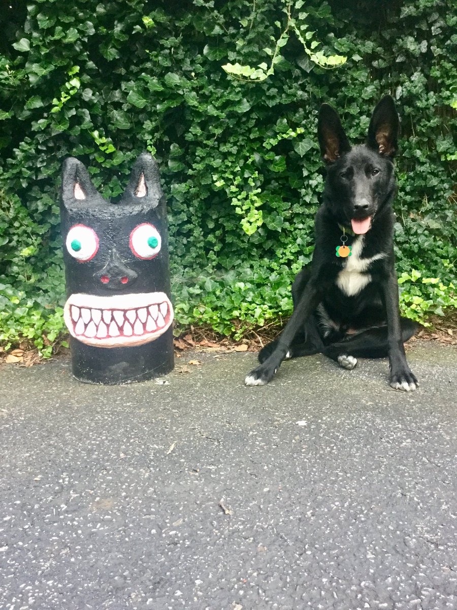 Lorenzo Ferraris tweet media