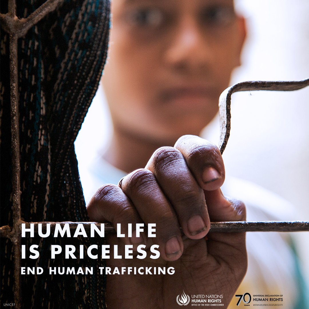 UN_SPExperts's tweet photo. #EndHumanTrafficking: On World Day Against Trafficking in Persons, UN expert urges states to treat refugees &amp; migrants as rights holders and act to prevent trafficking &amp; exploitation. "Even in difficult times, inclusion, not exclusion, is the answer.” https://t.co/Rzq9sHknV3 https://t.co/glUm1q4Ouh