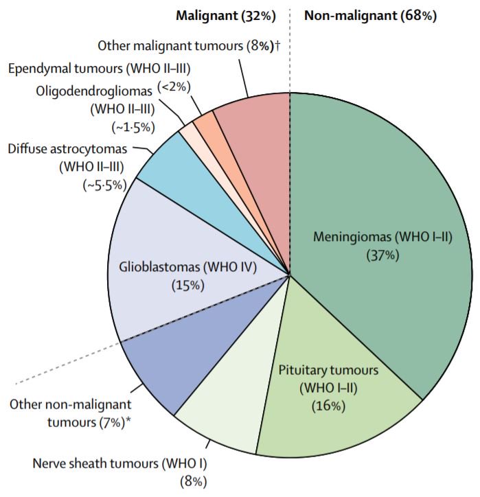 Most Common Primary Brain Tumor