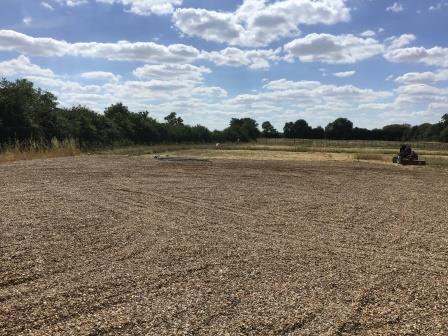 BFSTC's tweet photo. Newton Leys Allotments are currently looking like this. You can read the update on our website: https://t.co/gP6xiTL8DH https://t.co/4qYFMGqXtK