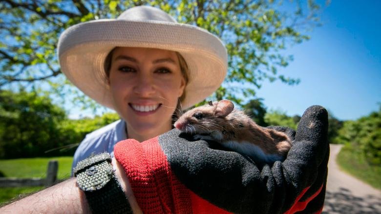 mrs_bitcoin's tweet image. Scientists are proposing the radical evolutionary step of genetically engineering mice to get rid of Lyme disease cnn.it/2LMfEz3  #mrs_bitcoin #news #top