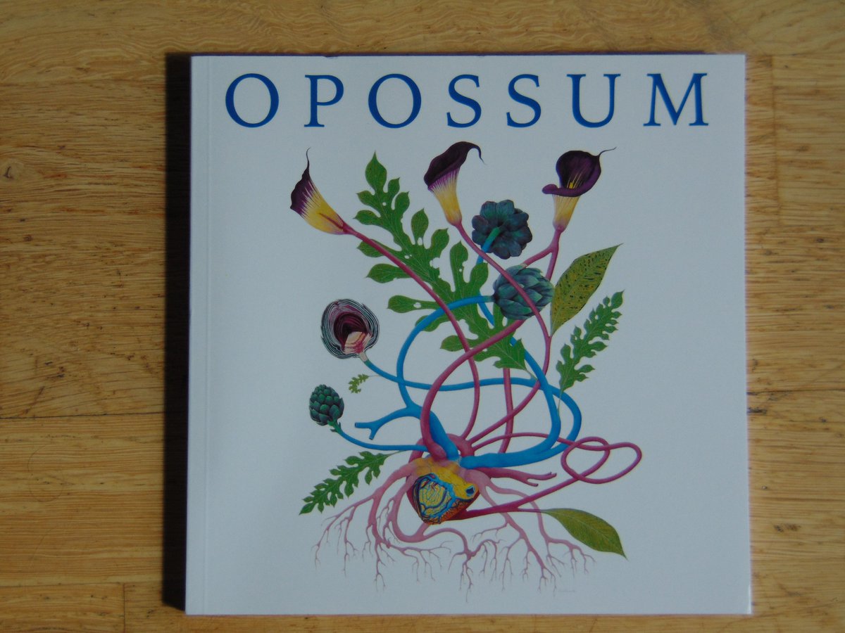 Lush_Job's tweet photo. The new issue of Opossum Literary Magazine arrived this morning. I have a short story in this one. You can read an excerpt and find out more https://t.co/v2kJaEUdnr and there's also updates on my website https://t.co/hQvlEJ5bUn https://t.co/9HLInGAw8I