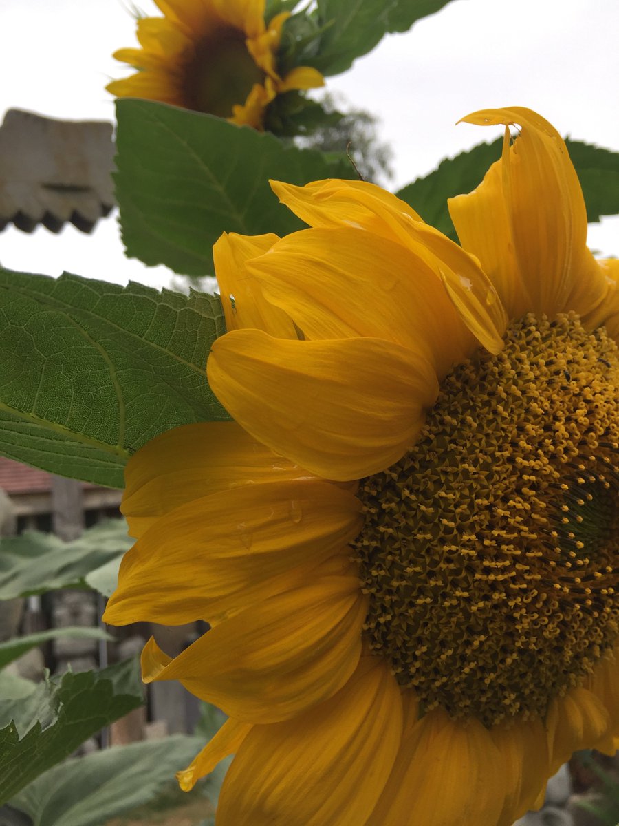 Fine Print tweet media