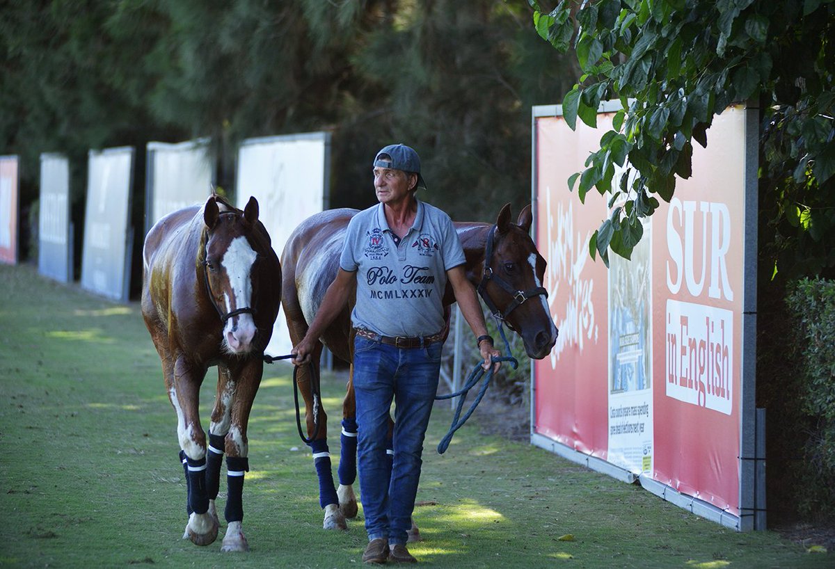 torneointerpolo's tweet photo. Dubai se proclamรณ ganador de la Copa de Bronce @estrelladamm de alto del @torneointerpolo ยกFelicidades! Deporte espectacular, el buen ambiente del showcooking #ArqIdea-cocinas con #PacoNavarro de #Willy1975 y la mรบsica en directo de #NothingInParticular protagonistas del domingo https://t.co/jiJ2npfJgl