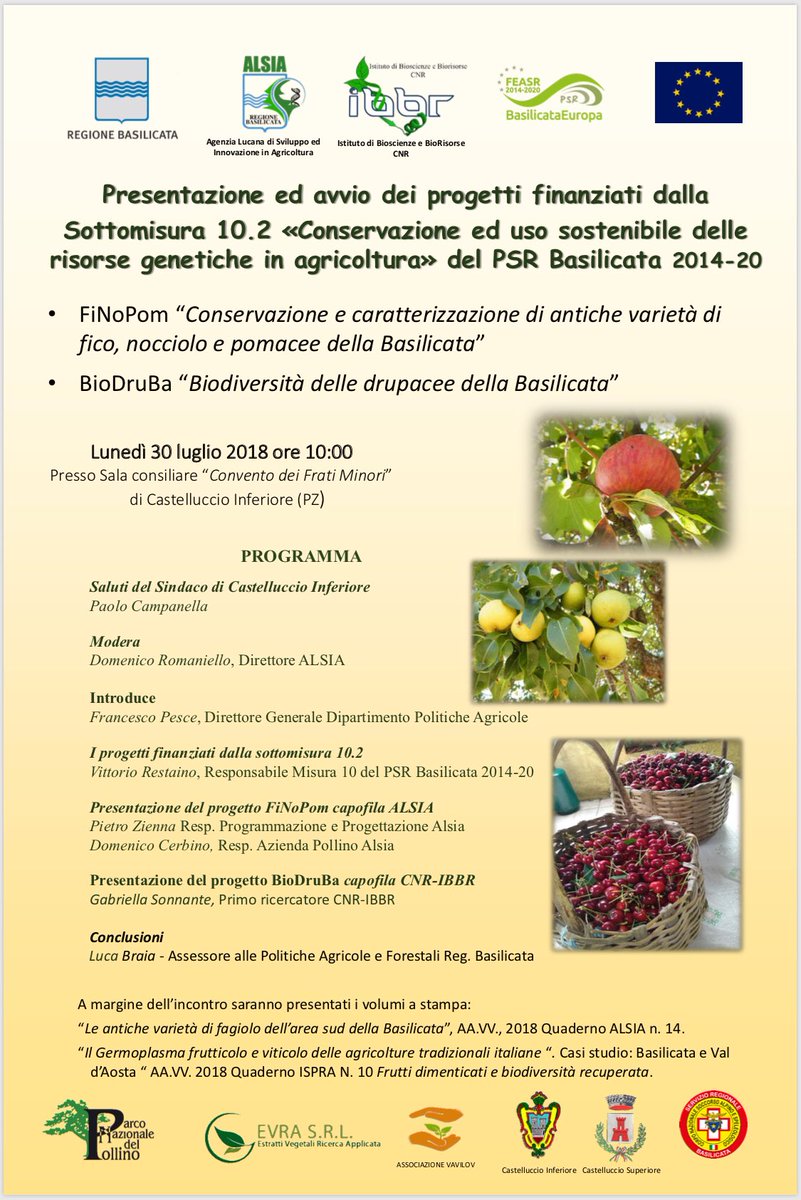 LucaBraia's tweet photo. Progetti di ricerca, mis. 10.2 del #PsrBas1420, FiNoPom “Conservazione e caratterizzazione di antiche varietà di fico, nocciolo e pomacee della Basilicata” e BioDruBa “Biodiversità delle drupacee della Basilicata” sono stati presentati e avviati questa mattina a Castelluccio In. https://t.co/jcGI2vncxy