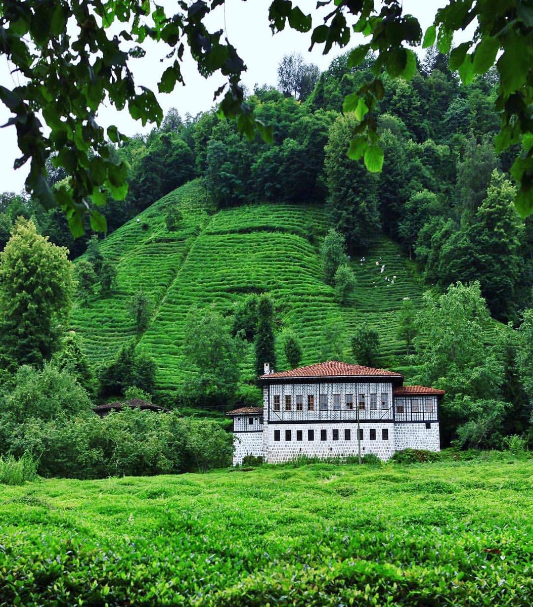 🌧 Tur Gurmeleri Çağlayan Köyü 🍁
Kırsal mimarinin önemli örneklerini barındıran Fındıklı ilçesindeki konaklar daha çok Çağlayan vadisine yayılıyor.
🌲🌲
📌İtiraf : Bina içleri yazın daha serin, kışın ise sıcaktır 😊
🌲🌲
#Karadeniz #Rize #Fındıklı #ÇağlayanKöyü #TurGurmeleri