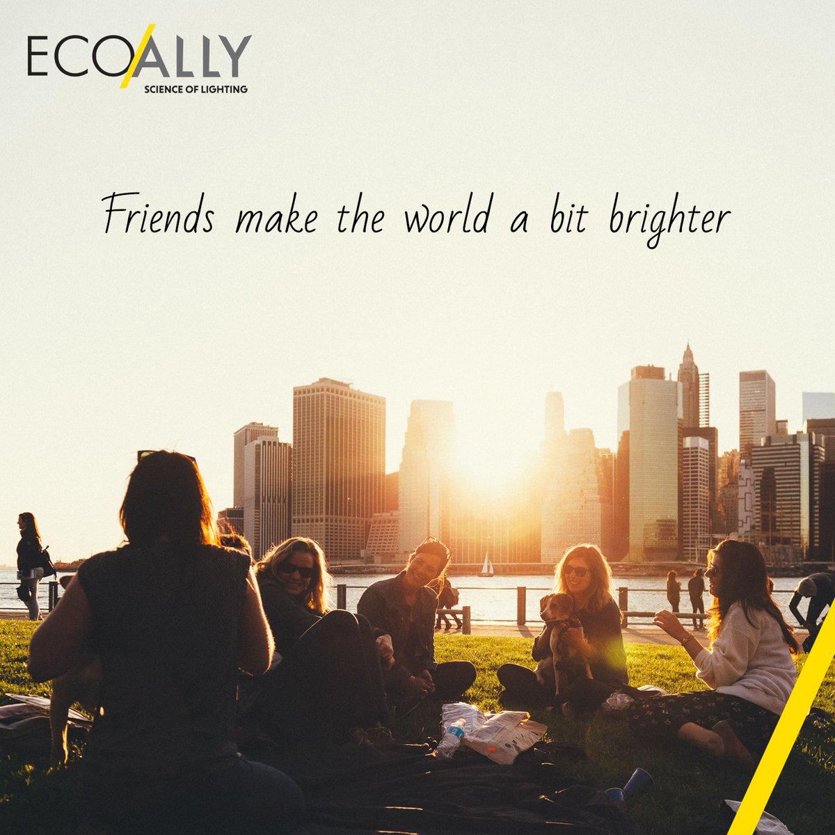Today is world friendship day, so make sure you let your friends know how much you appreciate them in your life! #worldfriendshipday