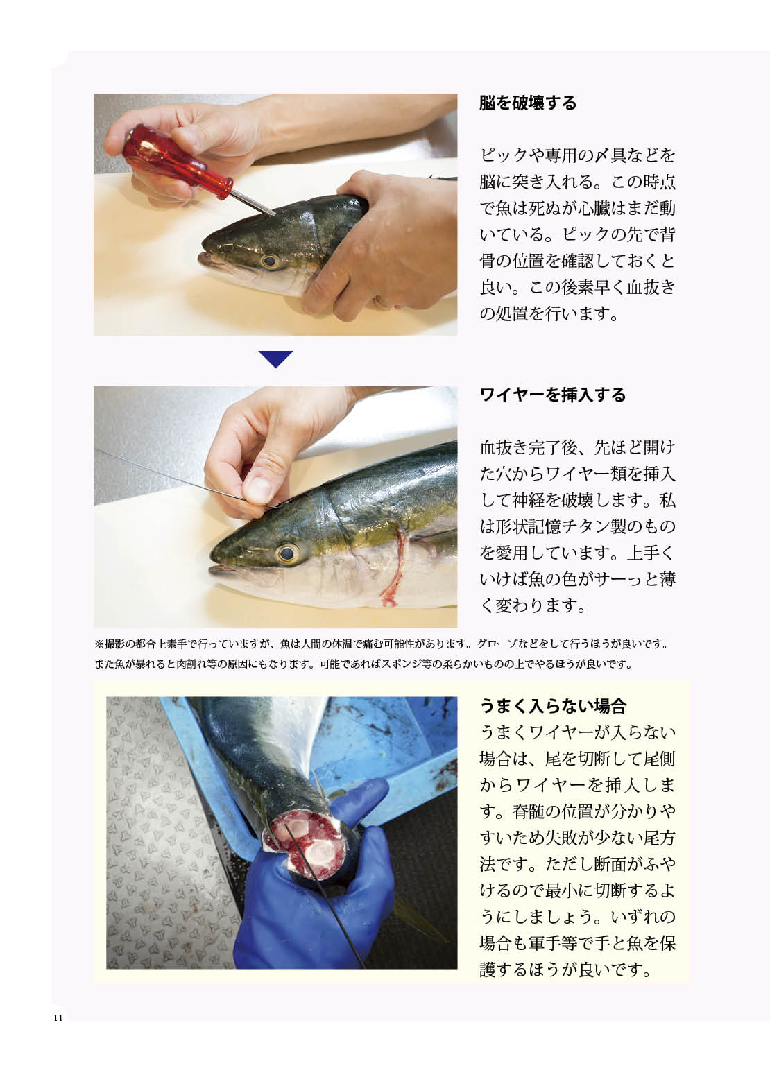 リットル ９４の新刊 3日目東 ヒ 45b サークル塩井守 烏賊で時短めし 釣るところから始まるイカの時短レシピ集です イカの構造からさばきかたまで掲載 安心 写真で説明する簡単にできるイカのレシピをご紹介 炊かないイカ飯 揚げない
