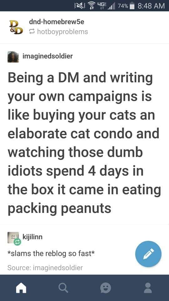 I think all of my DMs will agree with this lol.