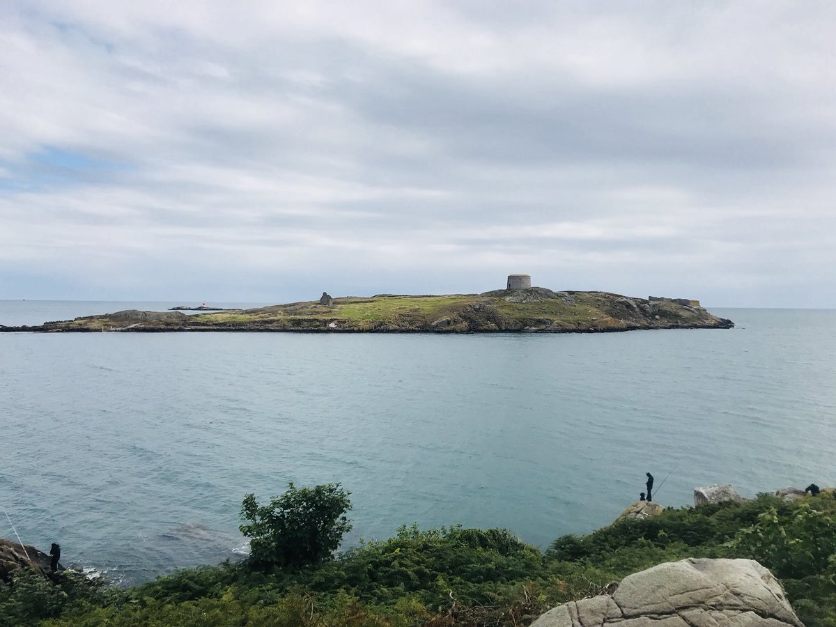 Happy Monday, everyone! Spending quality time with my favorite monkey here in Dalkey today.💚 #Dublin #Dalkey #SteoTime #TypicalIrishSummer