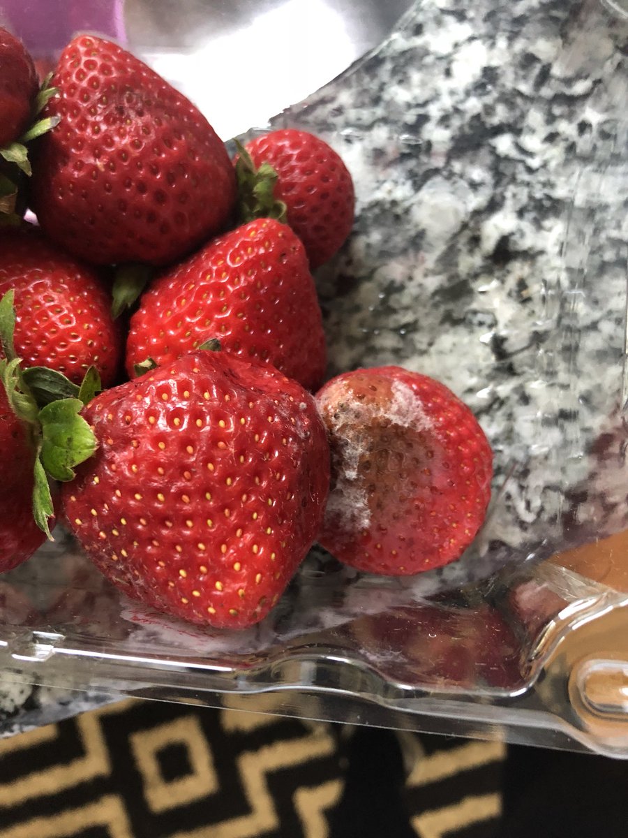 richgranata's tweet photo. @PeapodDelivers I had an order delivered yesterday and this morning when I opened our package of strawberries I saw they were moldy. Will you please refund us? https://t.co/2I6poF82sH