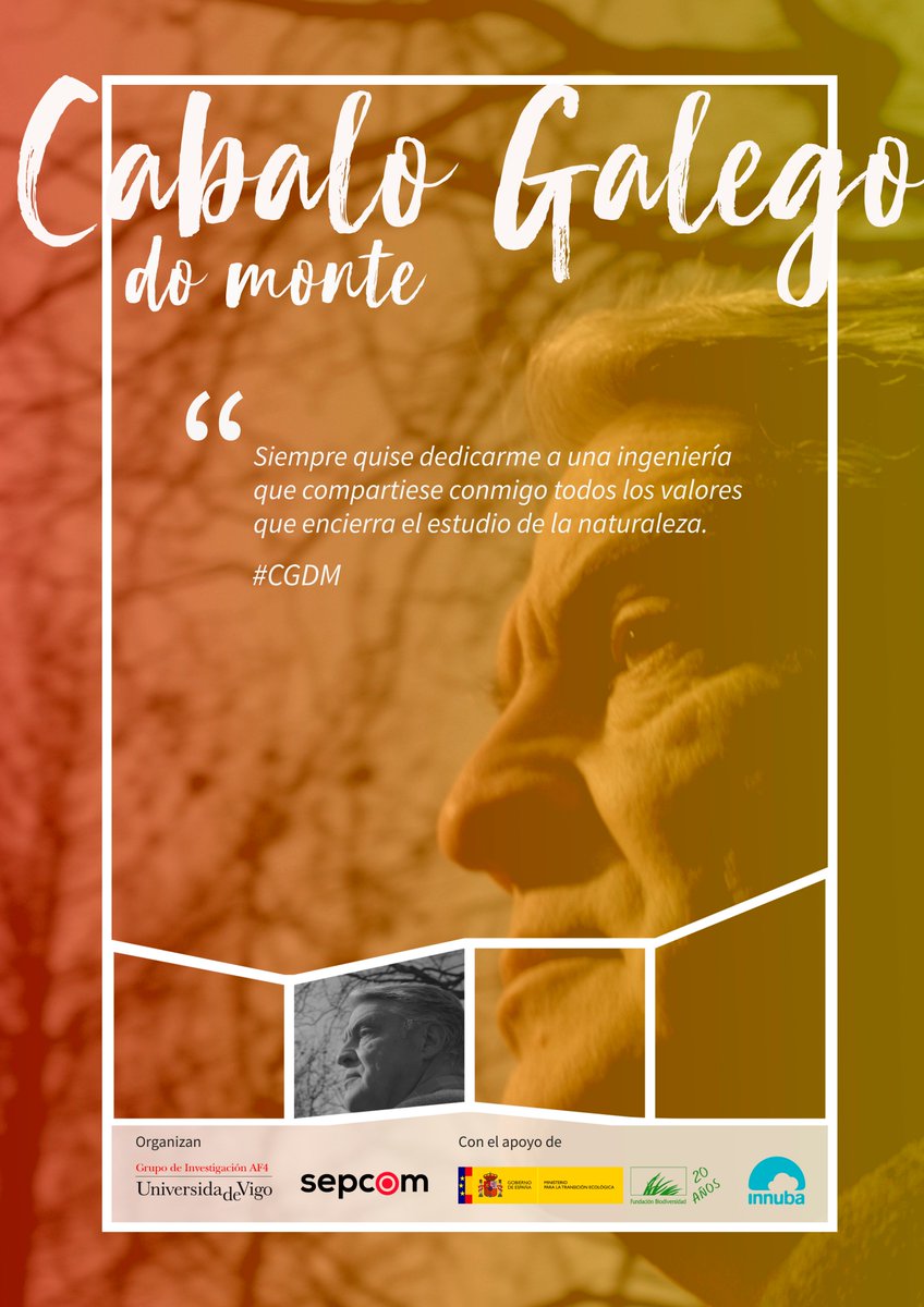 Cabalo_do_Monte's tweet photo. Pasión. Dedicación. Implicación.
#cgdm #cabalogalegodomonte #AF4 #sepcom https://t.co/gwhrstyCxr