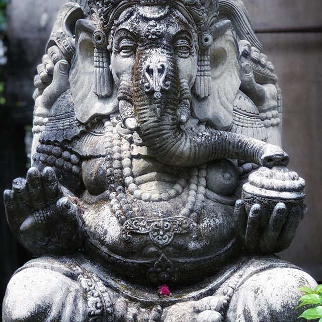 alesaib's tweet photo. ‘Fa che sia il tuo cuore a scegliere la meta, e la ragione a cercare la via.’ Proverbio induista #charismatica #newlifestartstoday #spiritualretreat #bali #nataconlavaligia https://t.co/x0pqWyV4su https://t.co/NOto2Grcq9