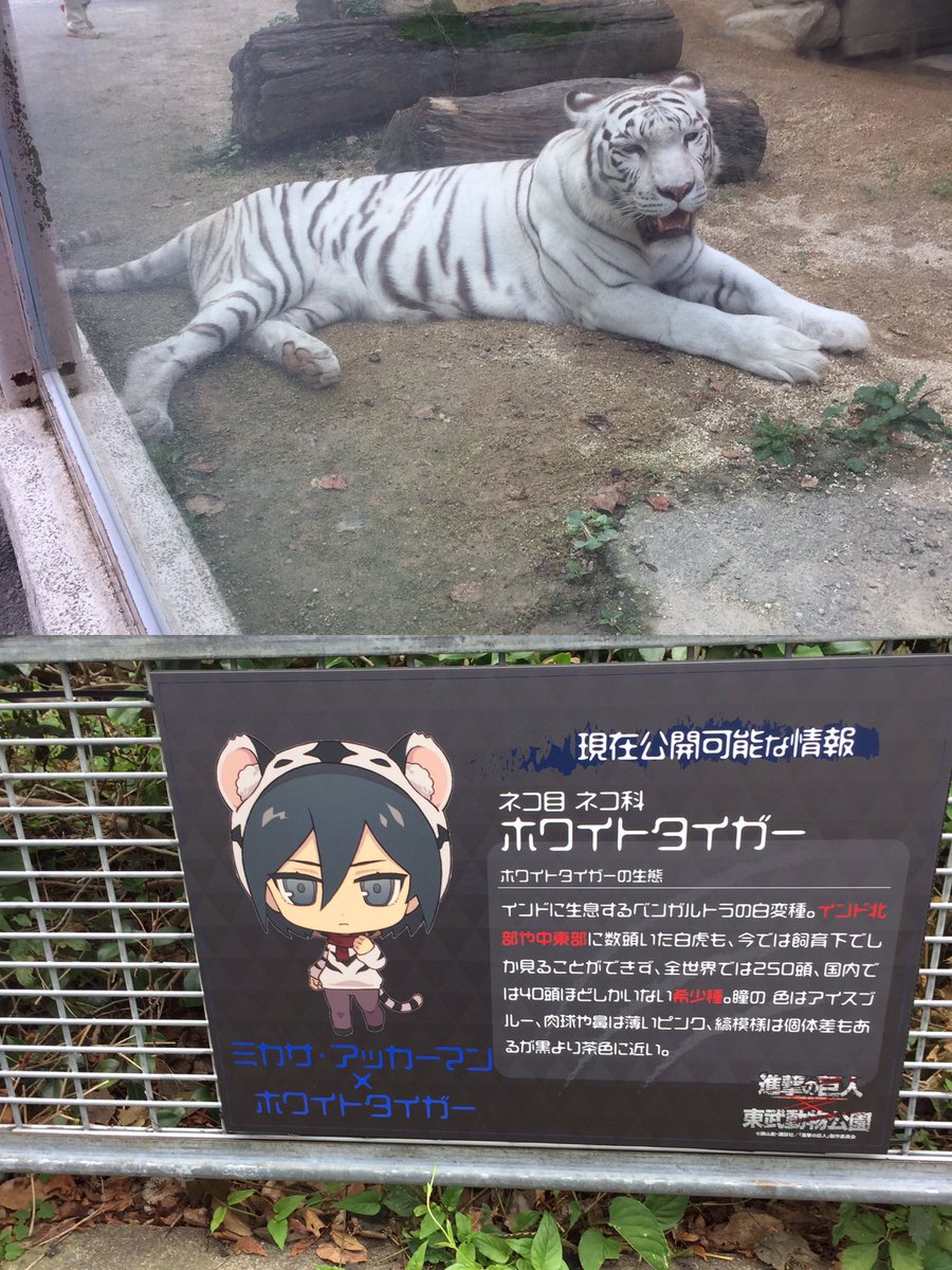 Tera Levi1225 בטוויטר 進撃の巨人 東武動物公園のコラボイベントに行ってきました 進撃の巨人のキャラと動物のコラボも良かったです 飼育員リヴァイとエレンのパネルも可愛かった