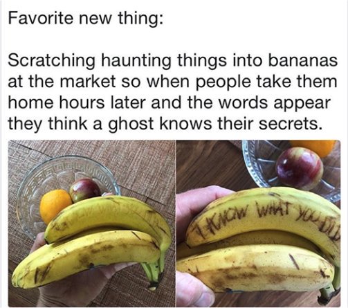 majorgeeks's tweet photo. I might have to go to one of those grocery store places. #lol #grocery #grocerystoreclickbait https://t.co/MbA6xguqR8 https://t.co/sJZvQE0YU1