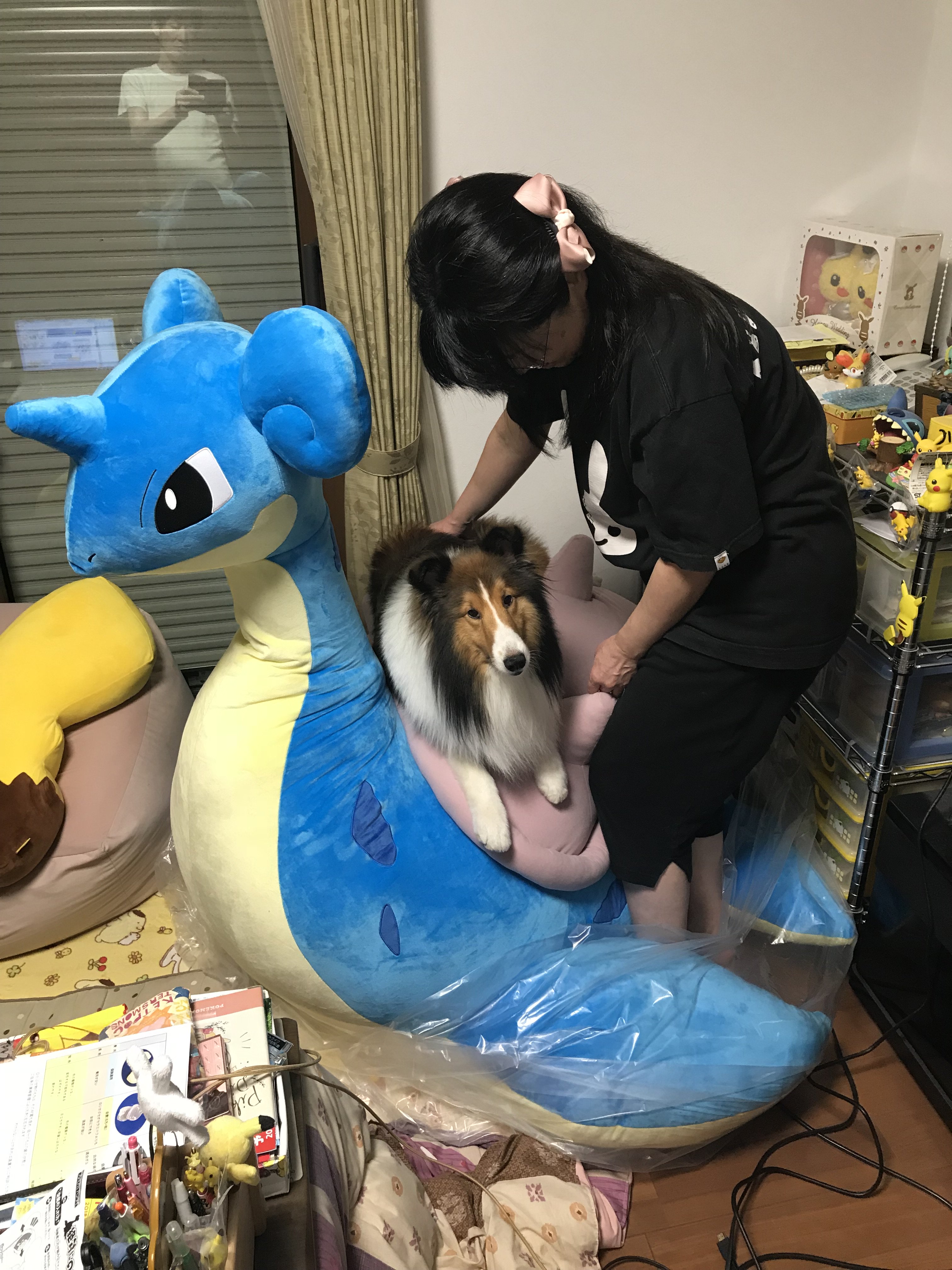 絶対にのりたいラプラス