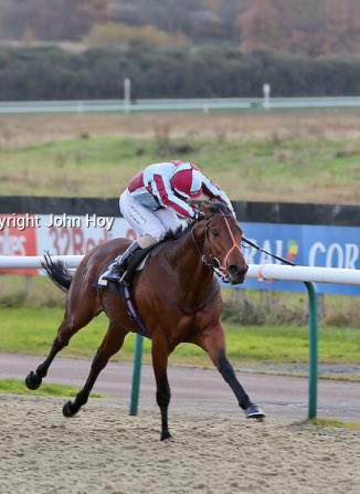 RacingJenkins's tweet photo. Two runners today @LingfieldPark Karam Albaari in the 2.20 Franny Norton getting the ride &amp; Dollywaggon Pike in the 4.50 with @liamjockey on board. Good luck to all 4. https://t.co/8SGTE8eiir