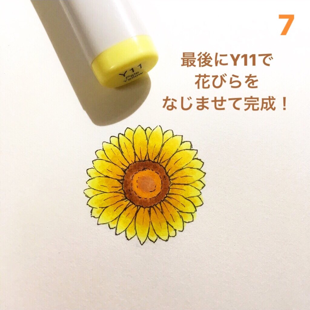 コピック で朝顔 のはな はるか 絵本作家のイラスト