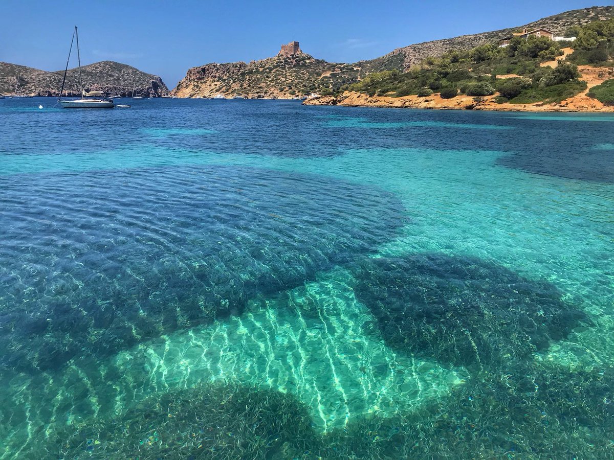La Posidonia del port de Cabrera